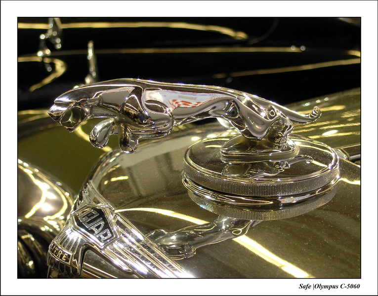 2005 - 02 - Retromobile 079